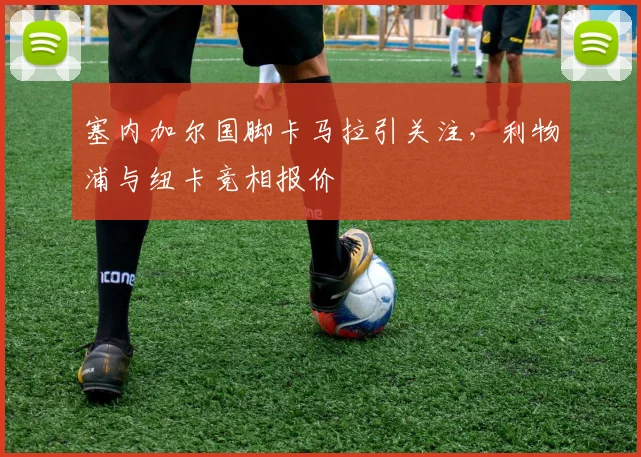 塞内加尔国脚卡马拉引关注,利物浦与纽卡竞相报价
